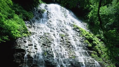 电子高端